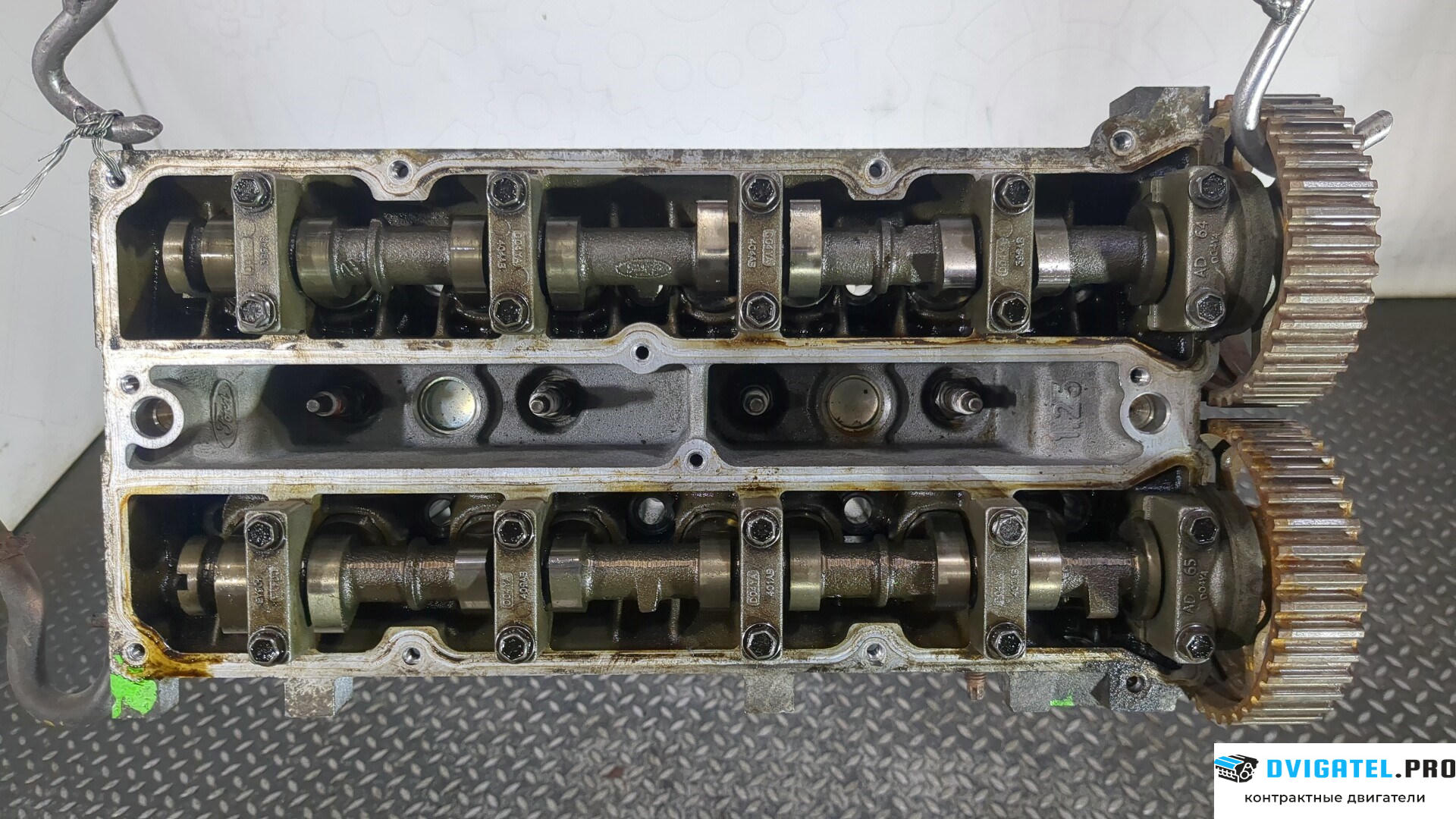 Головка блока цилиндров (ГБЦ) Ford Fiesta 2001 - 2007 FUJ… 1.25 л., Бензин, Инжектор, артикул 8934716