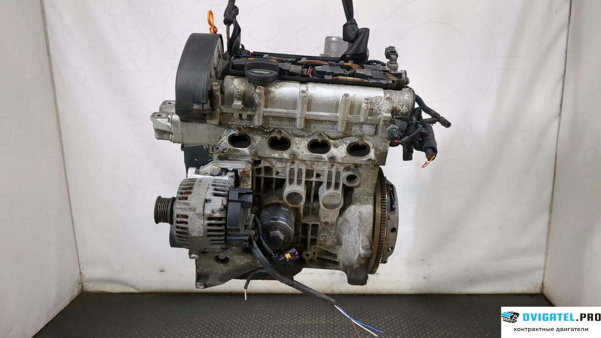 Двигатель Volkswagen Golf 5 2003 - 2009 BUD 1.4 л., Бензин, Инжектор, артикул 9236722