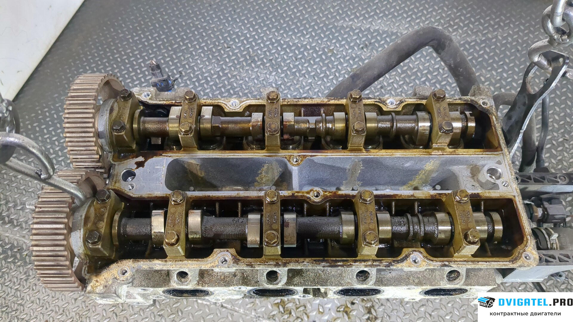 Головка блока цилиндров (ГБЦ) Ford C-Max 2002 - 2010 SHDA, SHDB, SHDC 1.6 л., Бензин, Инжектор, артикул 8896755