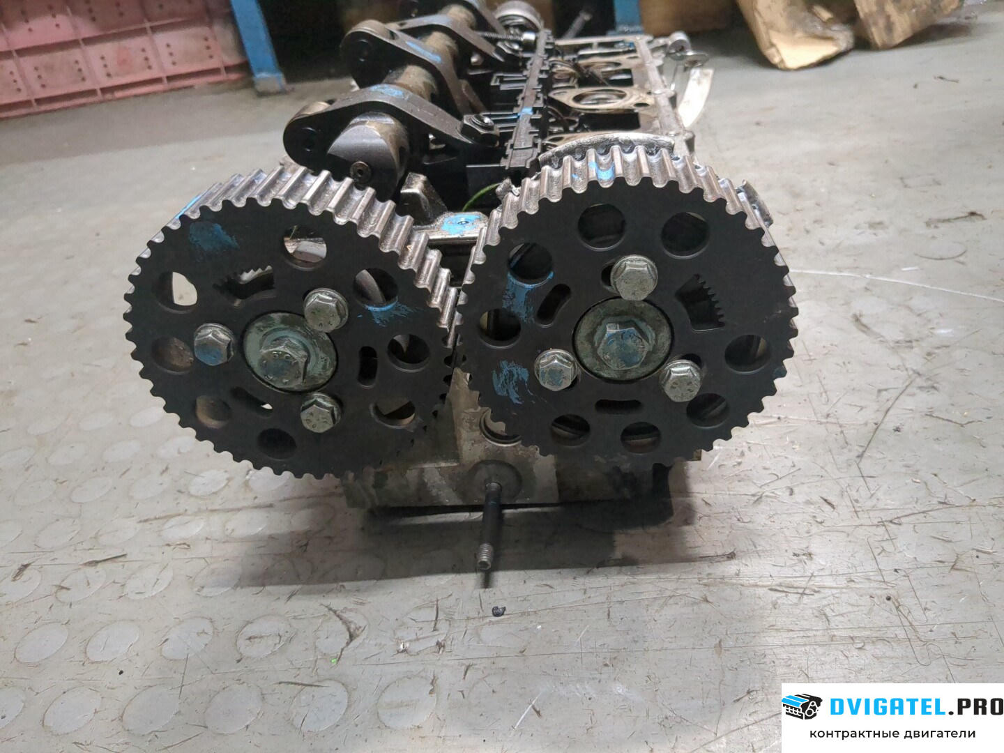 Головка блока цилиндров (ГБЦ) Audi A3 8P 2004 - 2008 BKD 2 л., Дизель, TDI, артикул 9240341