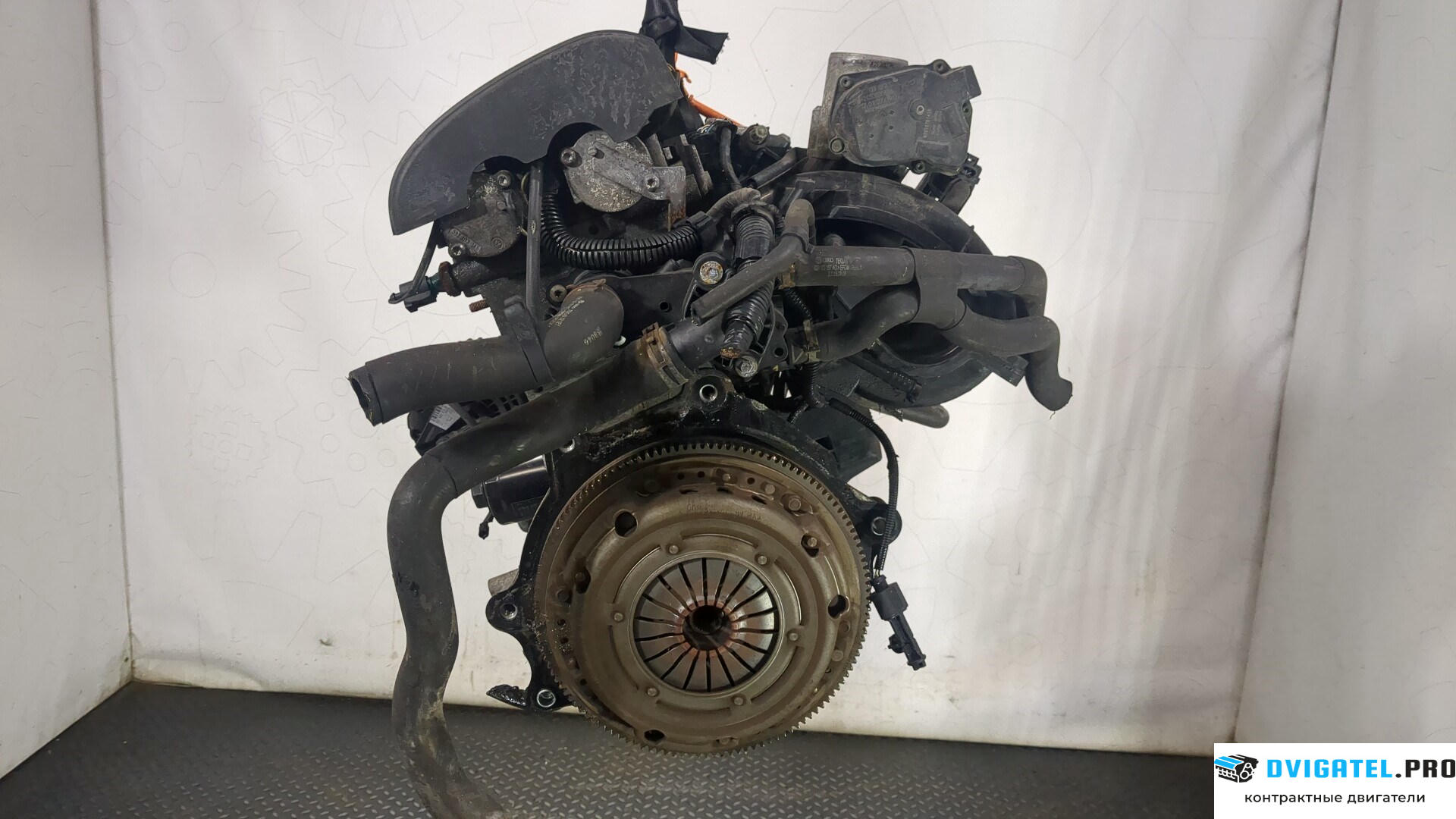 Двигатель Volkswagen Polo 2005 - 2009 BUD 1.4 л., Бензин, Инжектор, артикул 9053282