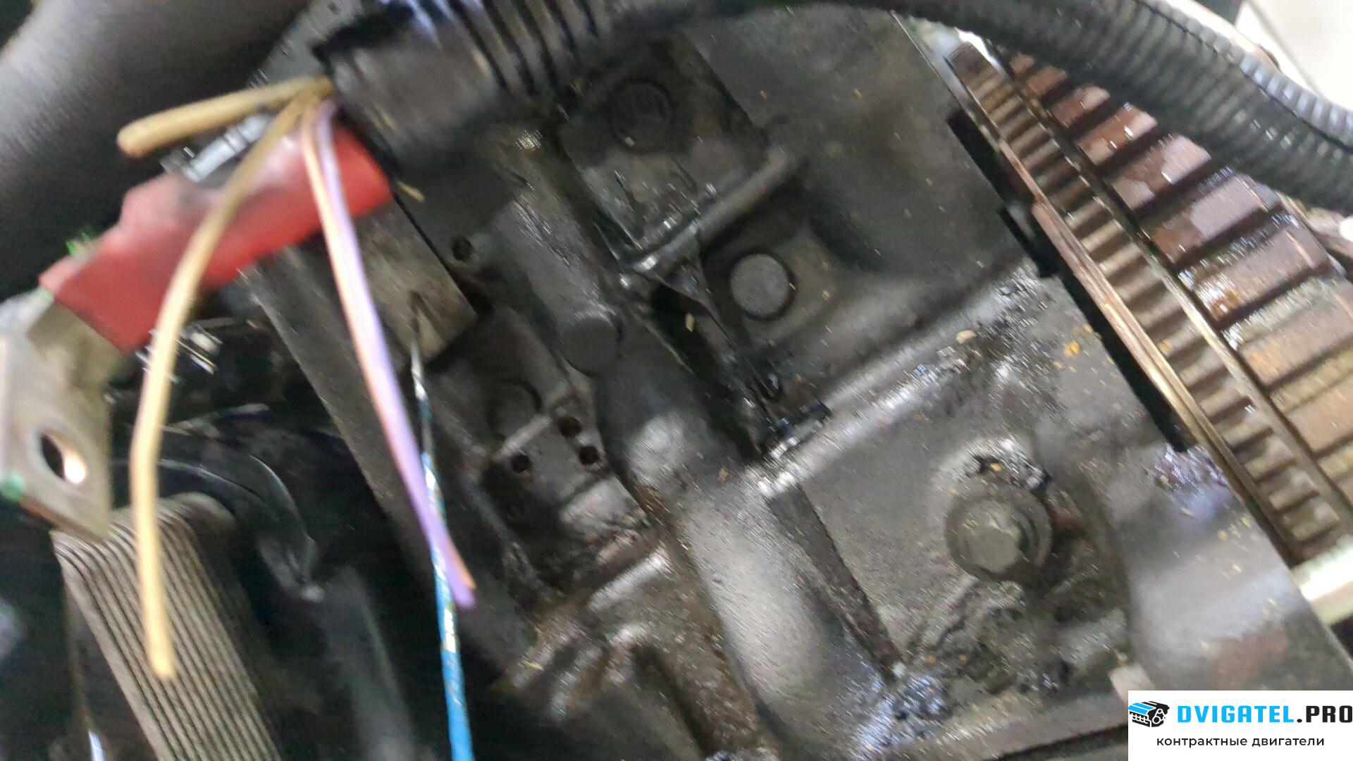 Двигатель Renault Megane 2 2002 - 2009 K9K 724 1.5 л., Дизель, DCI, артикул 9265230
