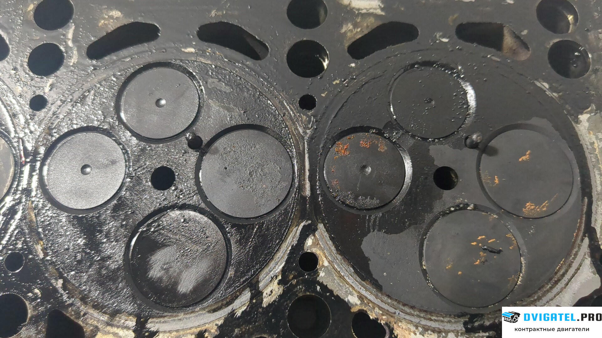 Головка блока цилиндров (ГБЦ) Audi A3 8P 2004 - 2008 BMN 2 л., Дизель, TDI, артикул 8721411