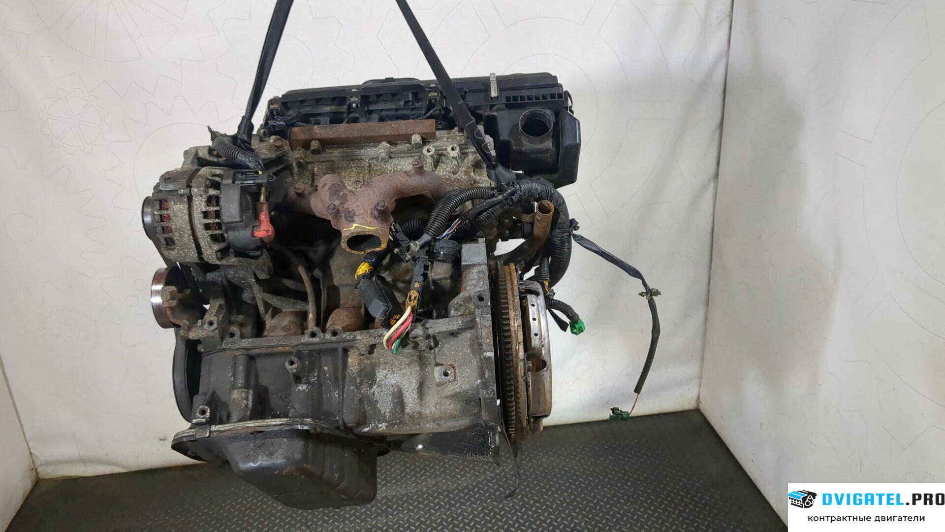 Двигатель Nissan Micra K12E 2003 - 2010 CR12DE 1.2 л., Бензин, Инжектор, артикул 8973954