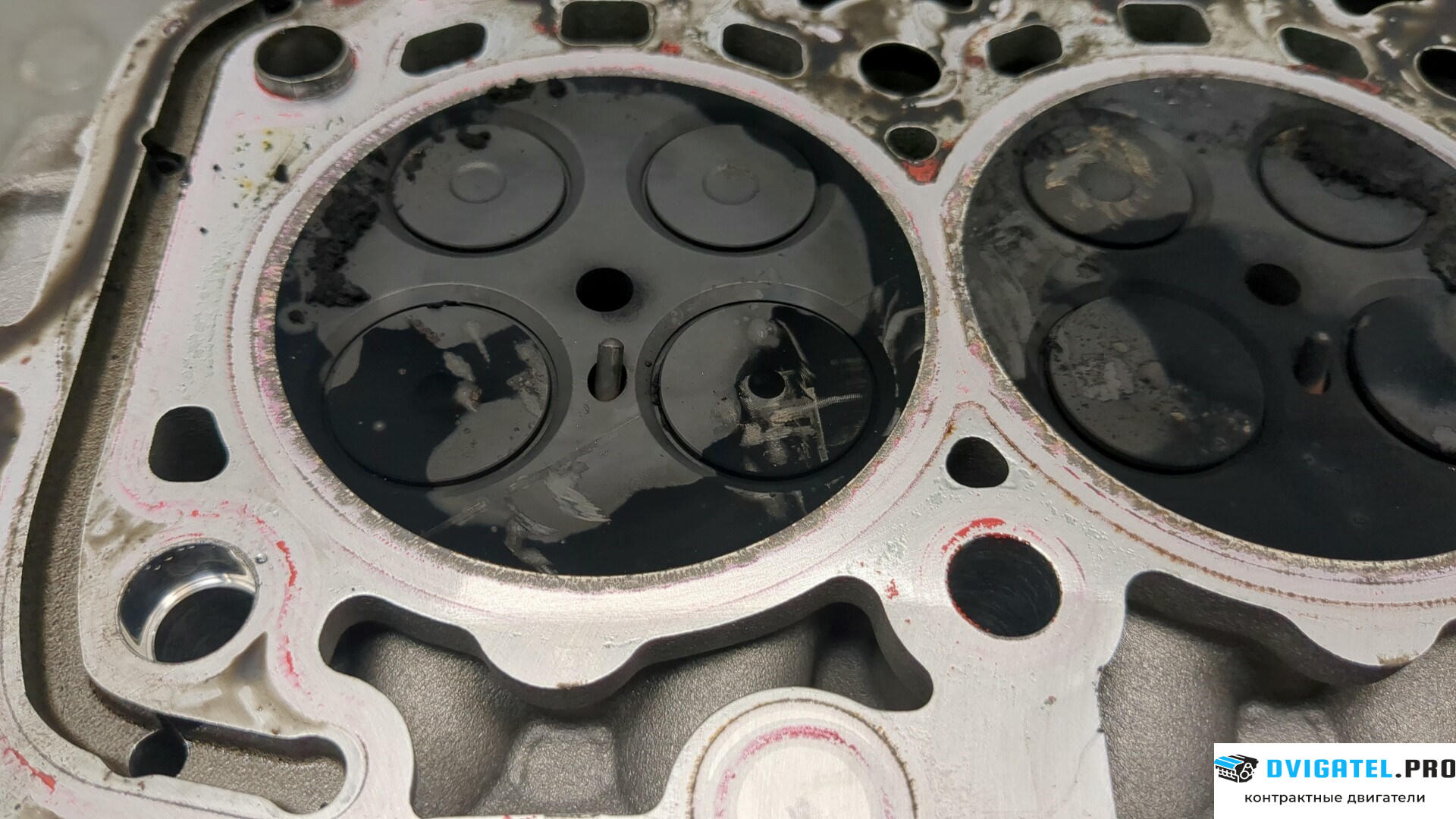 Головка блока цилиндров (ГБЦ) BMW X3 G01 2017 - 2021 B47D20B 2 л., Дизель, Турбо, артикул 8900424