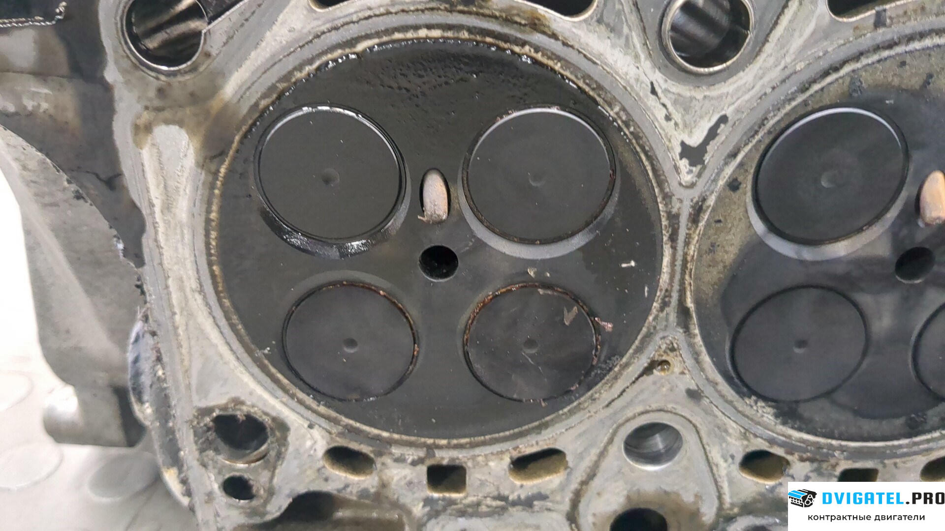 Головка блока цилиндров (ГБЦ) Land Rover Range Rover 3 LM 2002 - 2012 M57D30 3 л., Дизель, Турбо, артикул 8899954