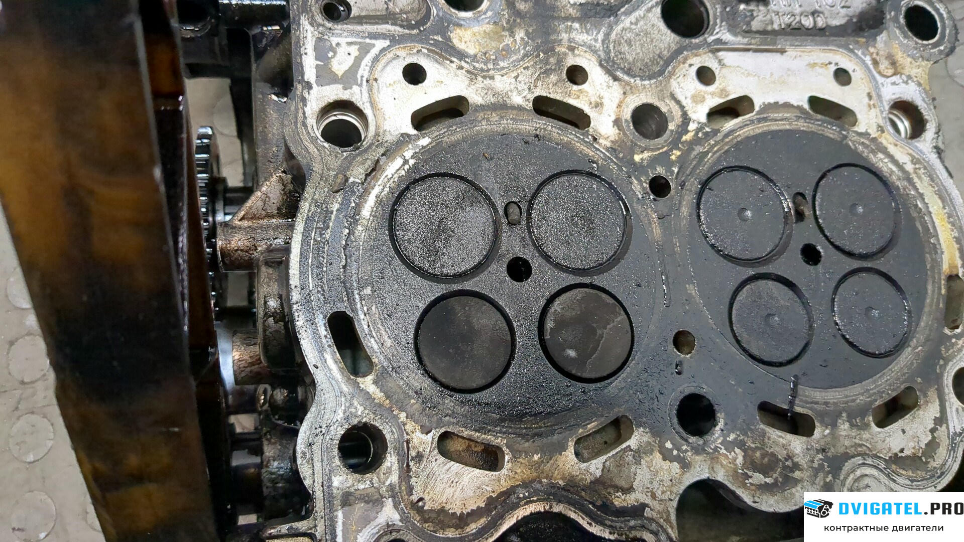 Головка блока цилиндров (ГБЦ) Subaru Legacy Outback B13 2003 - 2009 EE20Z 2 л., Дизель, Турбо, артикул 8581569