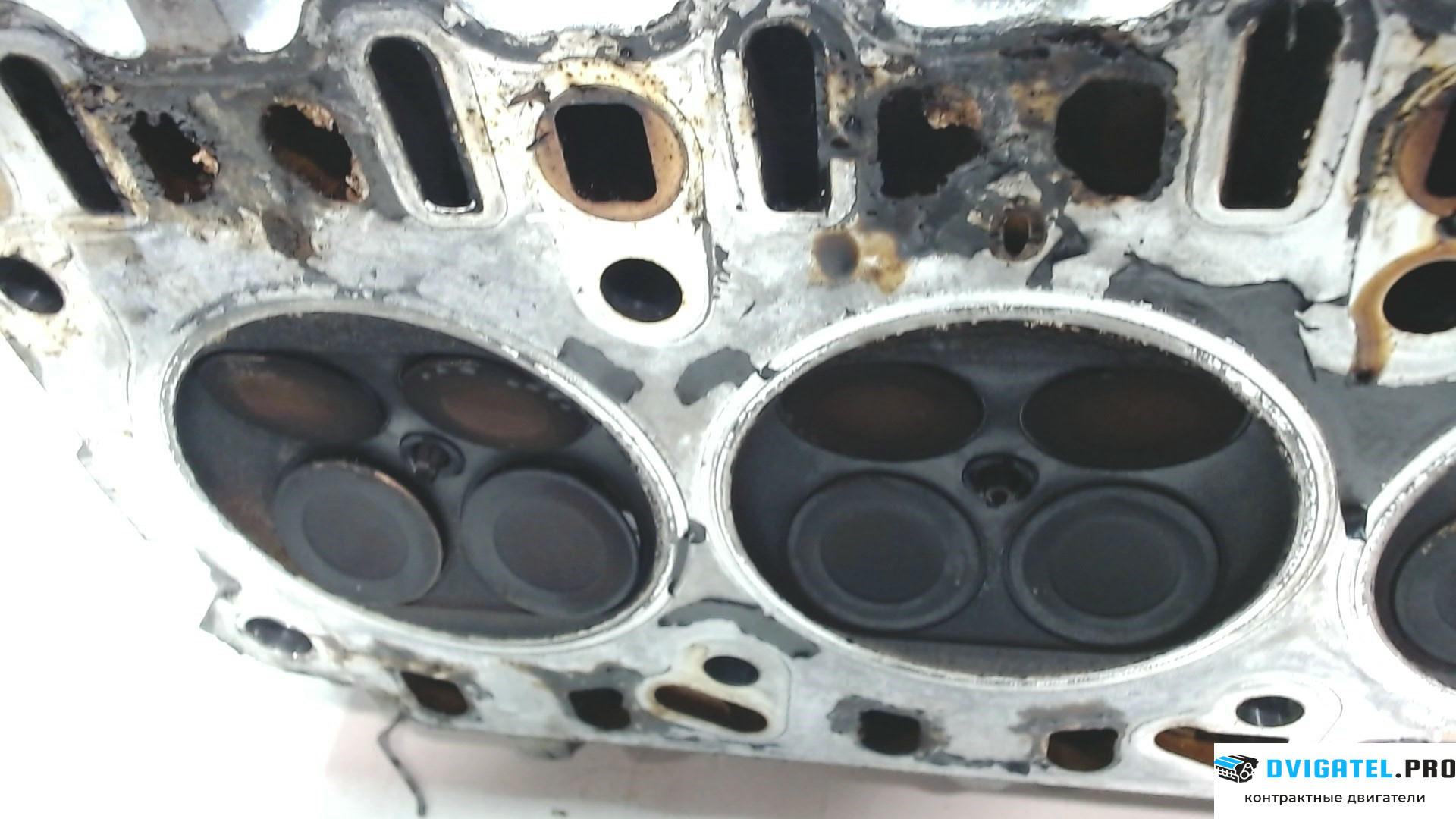 Головка блока цилиндров (ГБЦ) Porsche Cayenne 2002 - 2007 M48.00 4.5 л., Бензин, Инжектор, артикул 7983634
