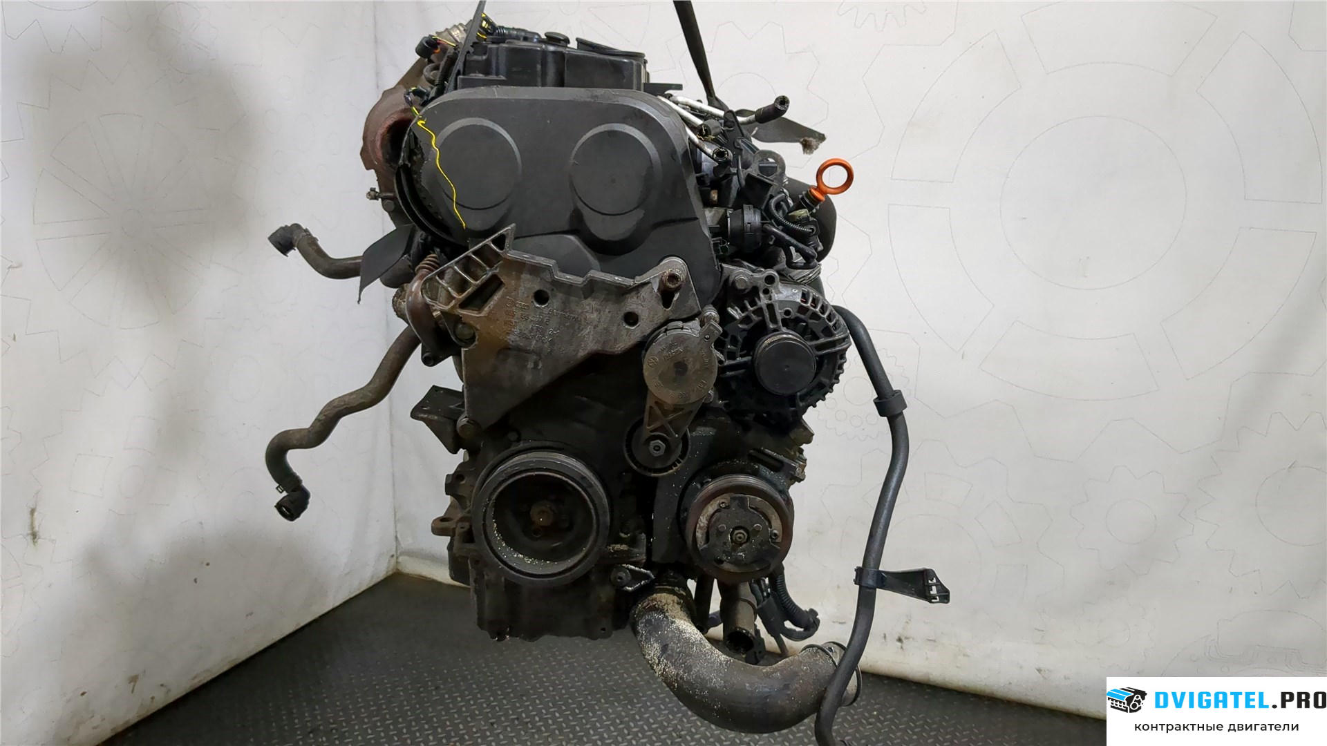Двигатель Seat Leon 2 2005 - 2009 BMN 2 л., Дизель, TDI, артикул 8175543