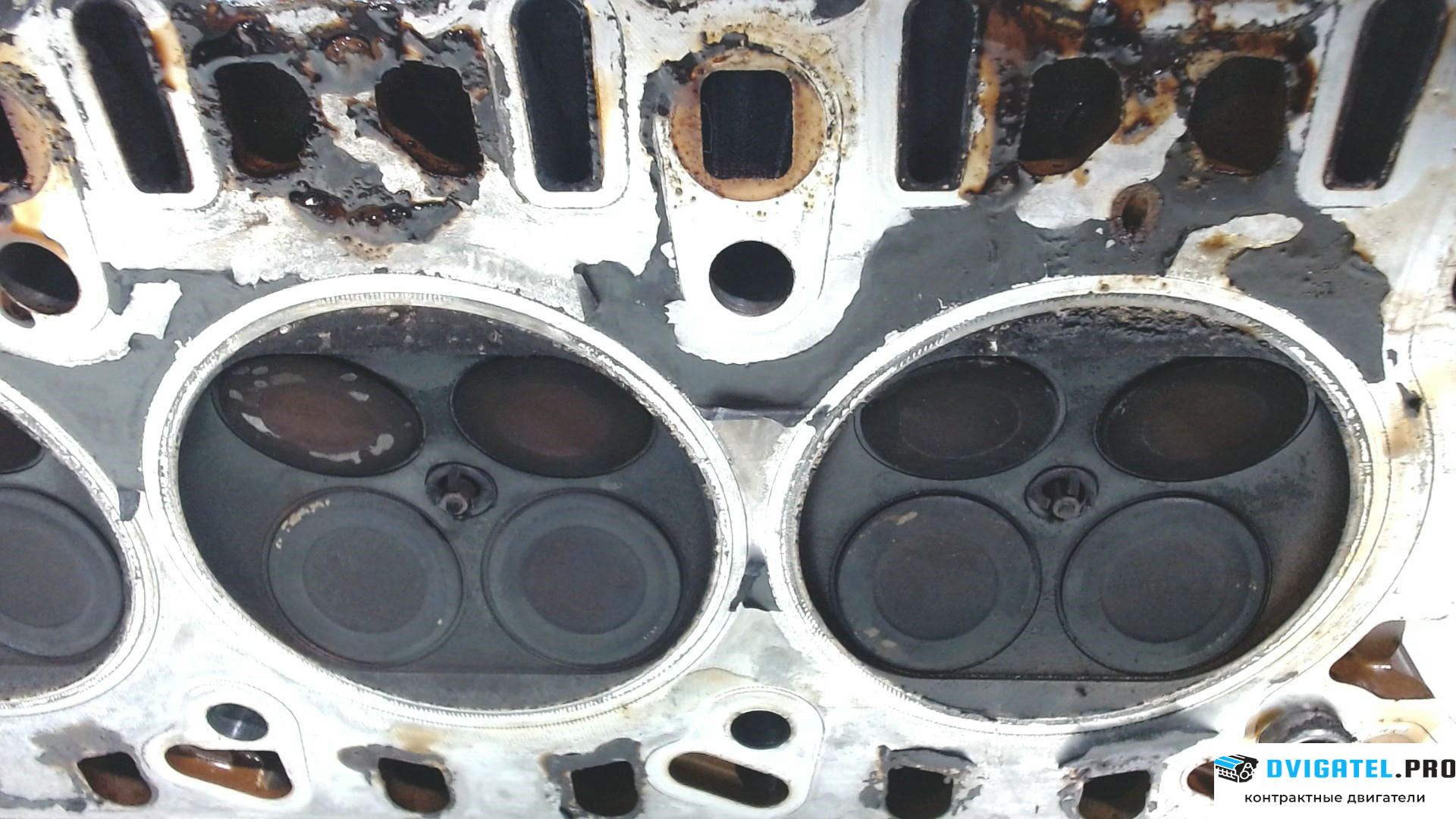 Головка блока цилиндров (ГБЦ) Porsche Cayenne 2002 - 2007 M48.00 4.5 л., Бензин, Инжектор, артикул 7983634