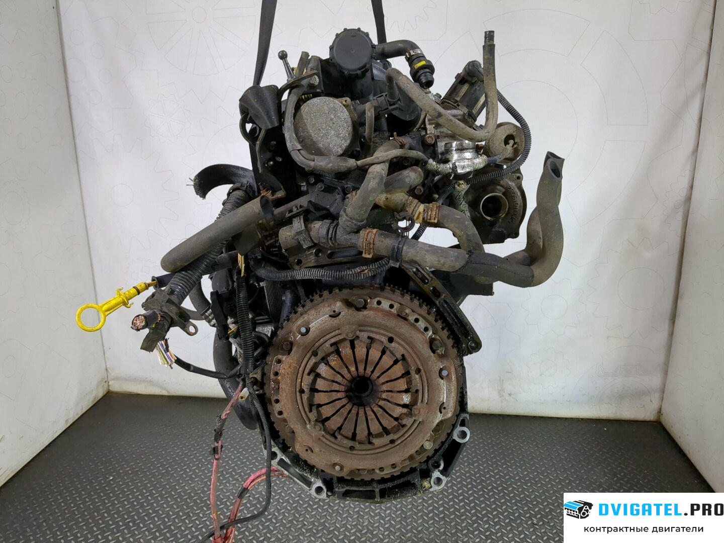 Двигатель Renault Scenic 2003 - 2009 K9K 724 1.5 л., Дизель, DCI, артикул 8688828