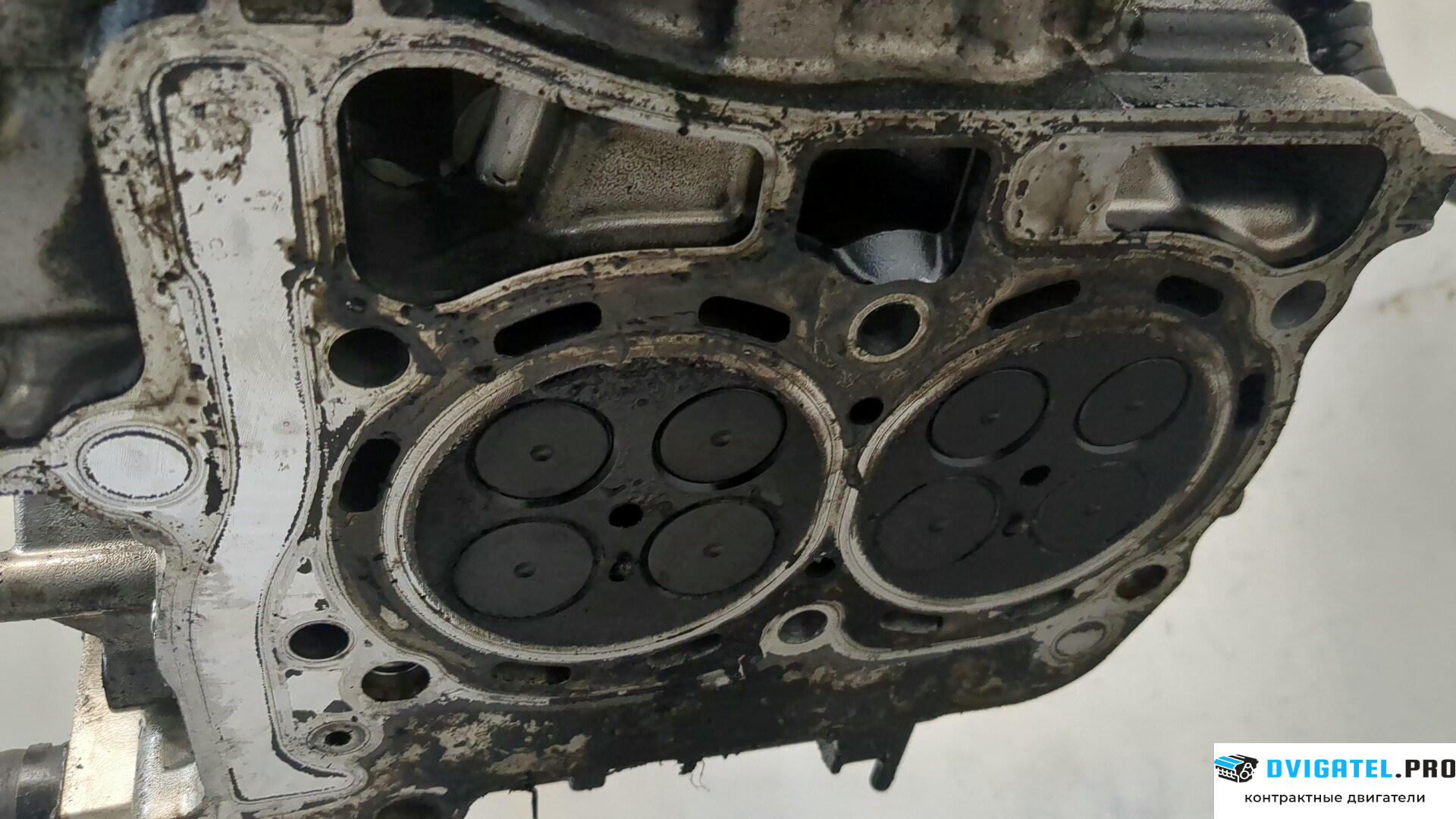 Головка блока цилиндров (ГБЦ) Subaru Forester S12 2008 - 2012 EE20Z 2 л., Дизель, Турбо, артикул 8465957