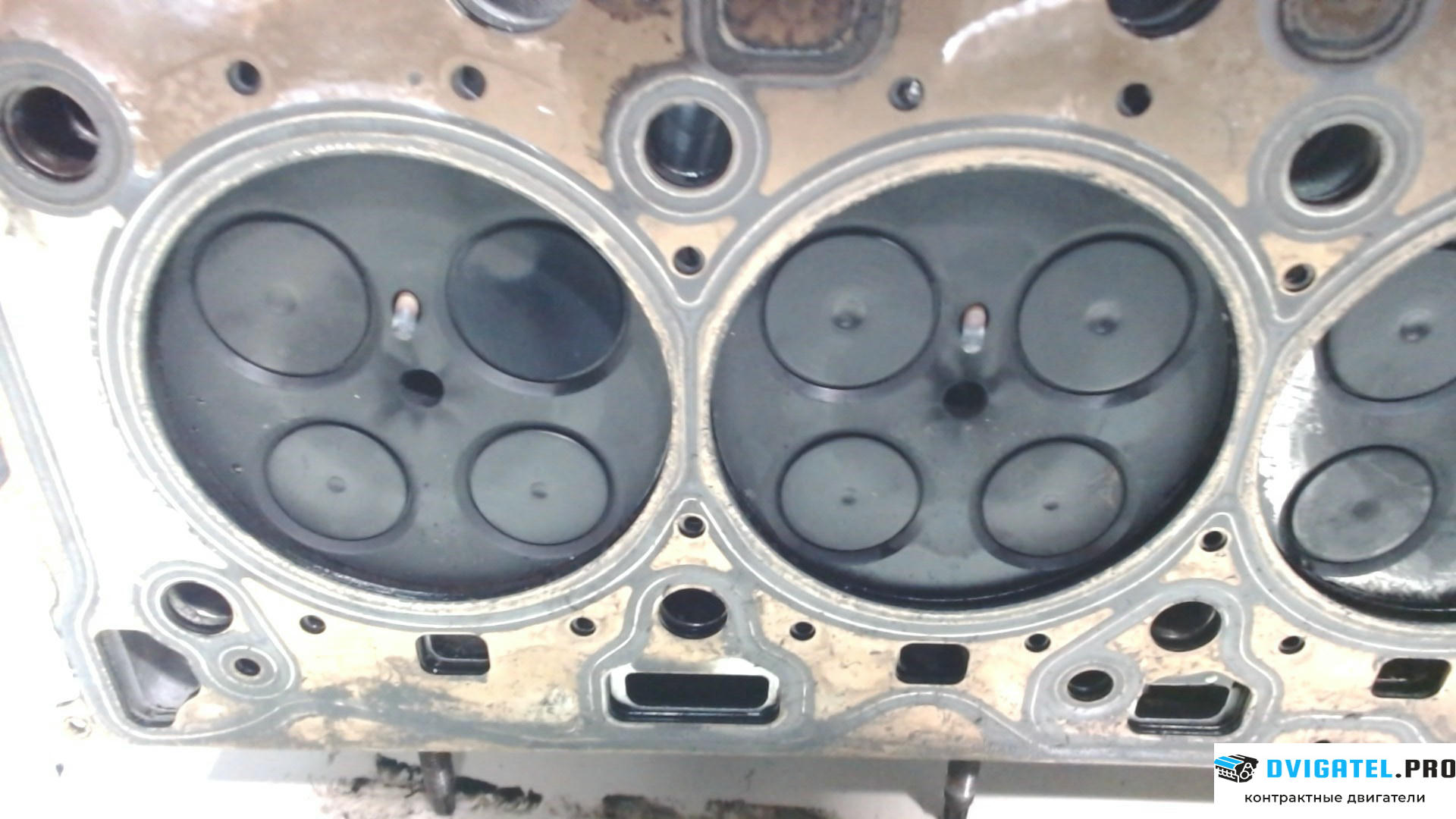 Головка блока цилиндров (ГБЦ) BMW 5 F10 2010 - 2016 N47D20C 2 л., Дизель, TDI, артикул 7929368