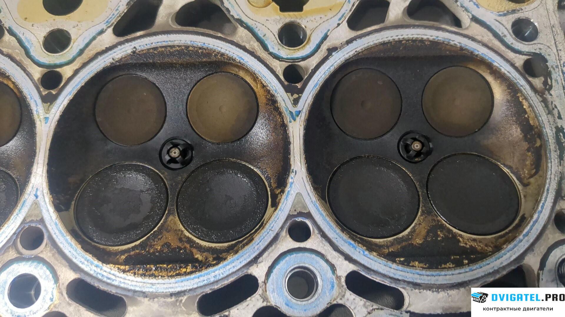Головка блока цилиндров (ГБЦ) BMW 6 E63 2004 - 2007 N62 B44A 4.4 л., Бензин, Инжектор, артикул 9209449