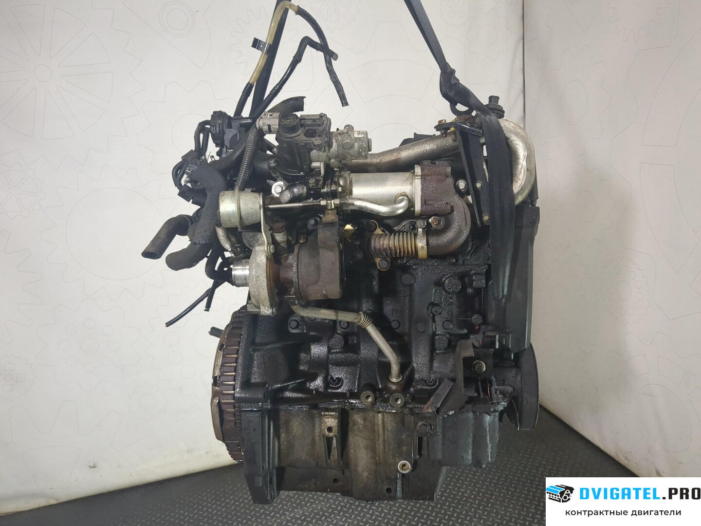 Двигатель Nissan Note E11 2006 - 2013 K9K 1.5 л., Дизель, DCI, артикул 8575994