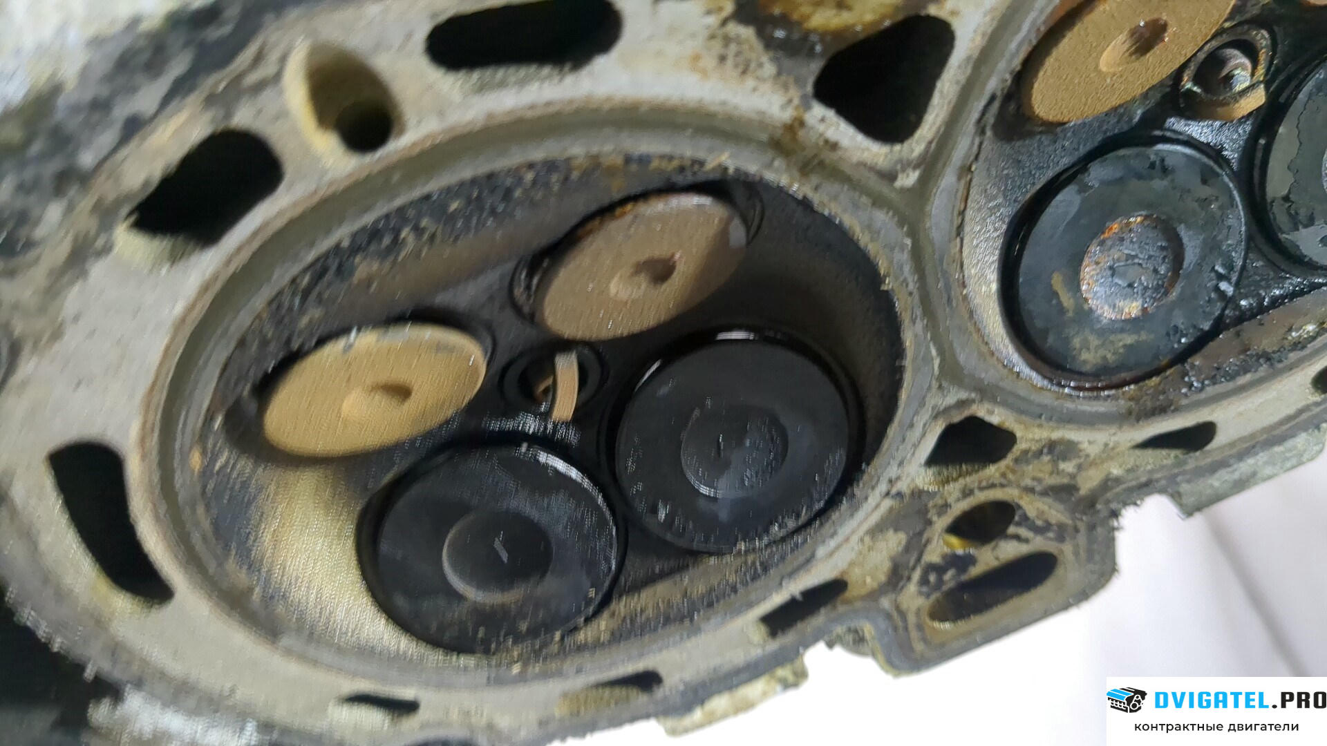 Головка блока цилиндров (ГБЦ) Ford C-Max 2002 - 2010 SHDA, SHDB, SHDC 1.6 л., Бензин, Инжектор, артикул 8896755