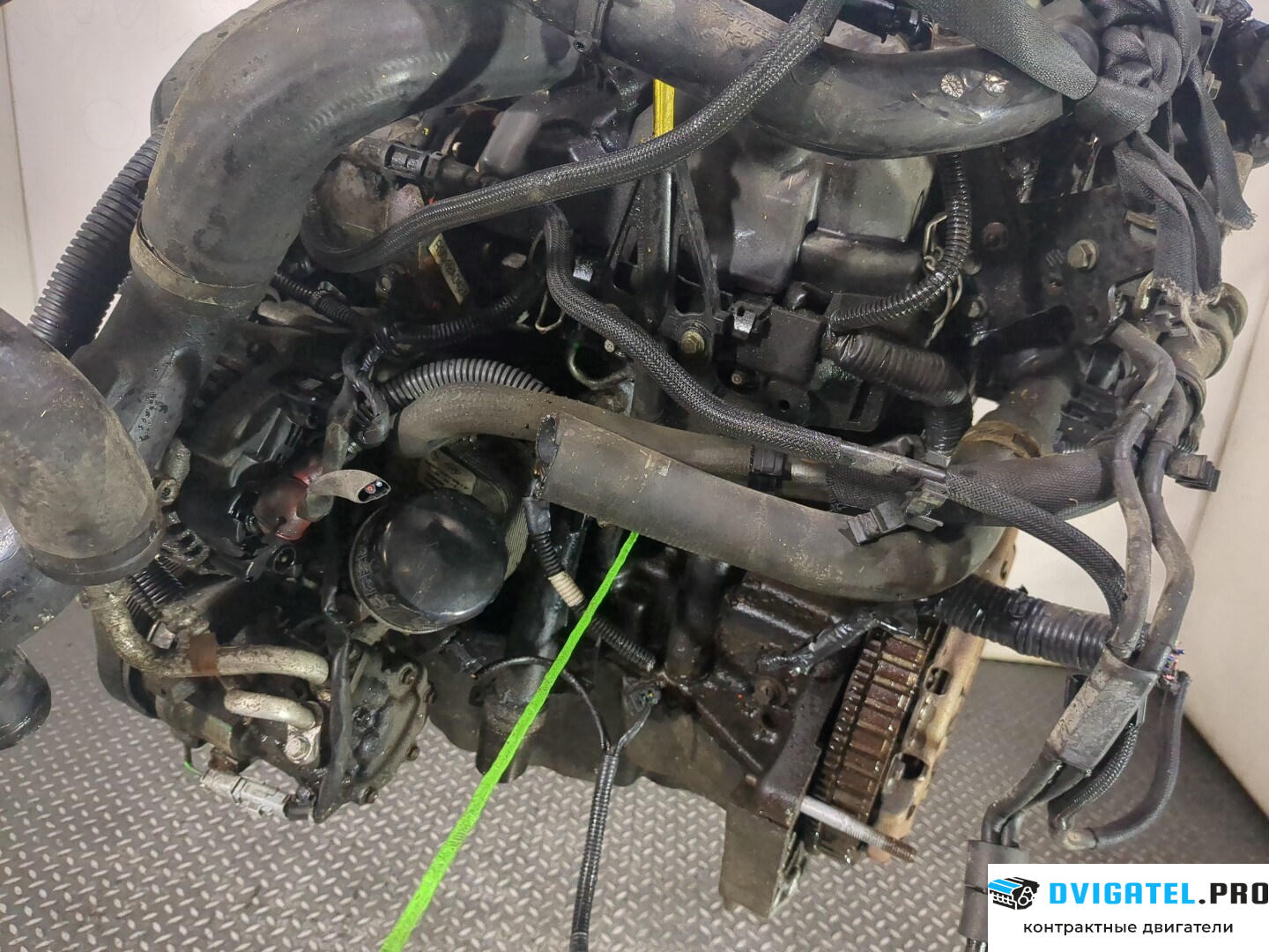 Двигатель Nissan Note E11 2006 - 2013 K9K 1.5 л., Дизель, DCI, артикул 8787562