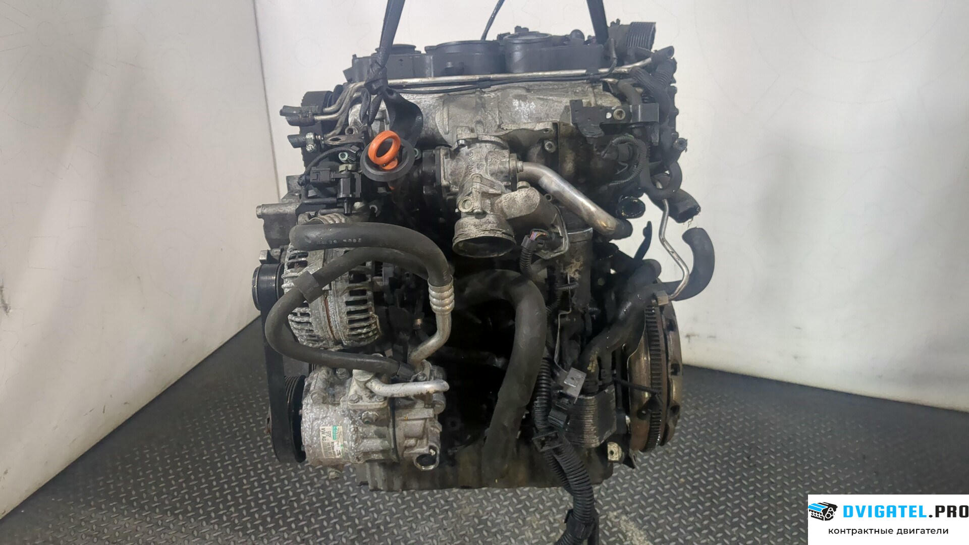 Двигатель Seat Leon 2 2005 - 2009 BMN 2 л., Дизель, TDI, артикул 8912682