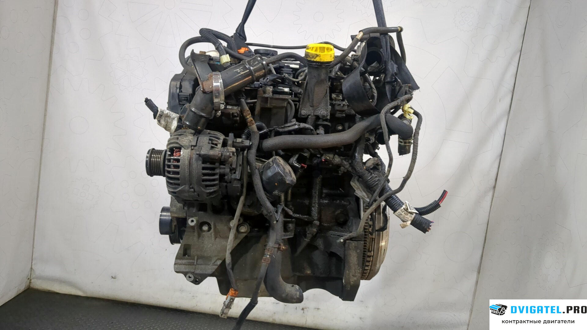 Двигатель Nissan Juke 2010 - 2014 K9K 1.5 л., Дизель, DCI, артикул 9233325