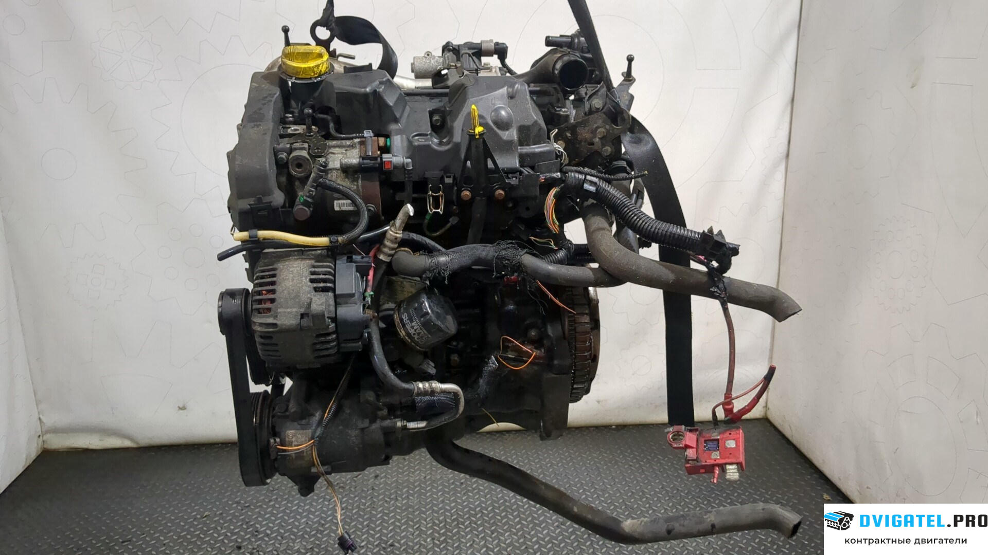 Двигатель Renault Megane 2 2002 - 2009 K9K 724 1.5 л., Дизель, DCI, артикул 8284346