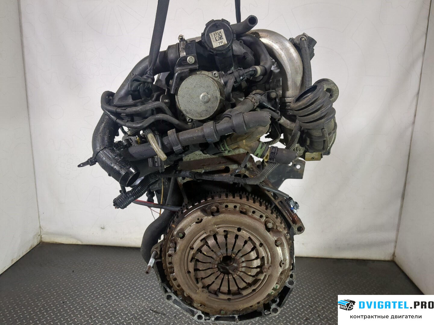 Двигатель Nissan Micra K12E 2003 - 2010 K9K 1.5 л., Дизель, DCI, артикул 8568434