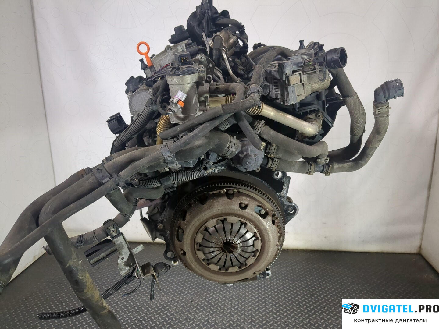 Двигатель Volkswagen Golf 5 2003 - 2009 BLF 1.6 л., Бензин, FSI, артикул 8583018