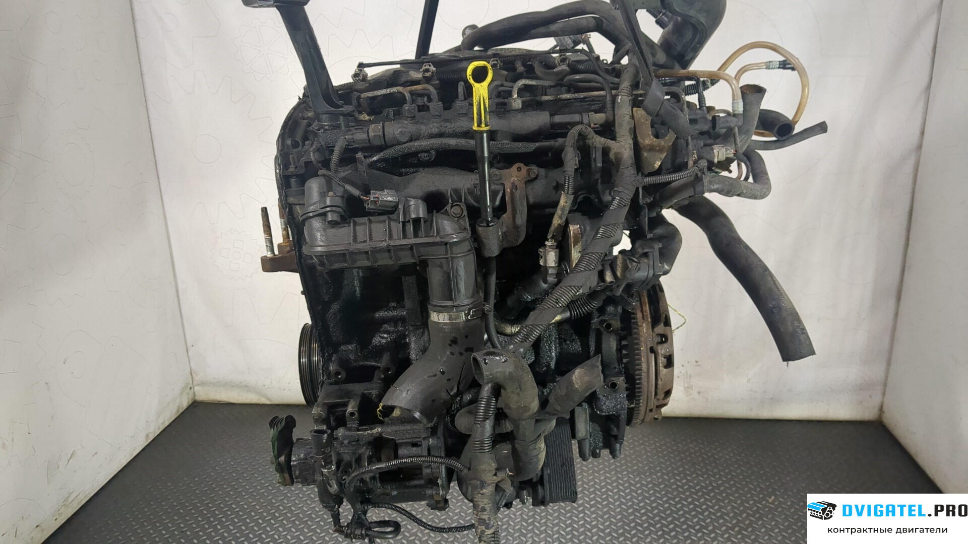 Двигатель Ford Transit 2006 - 2014 QVFA 2.2 л., Дизель, TDCI, артикул 8766871