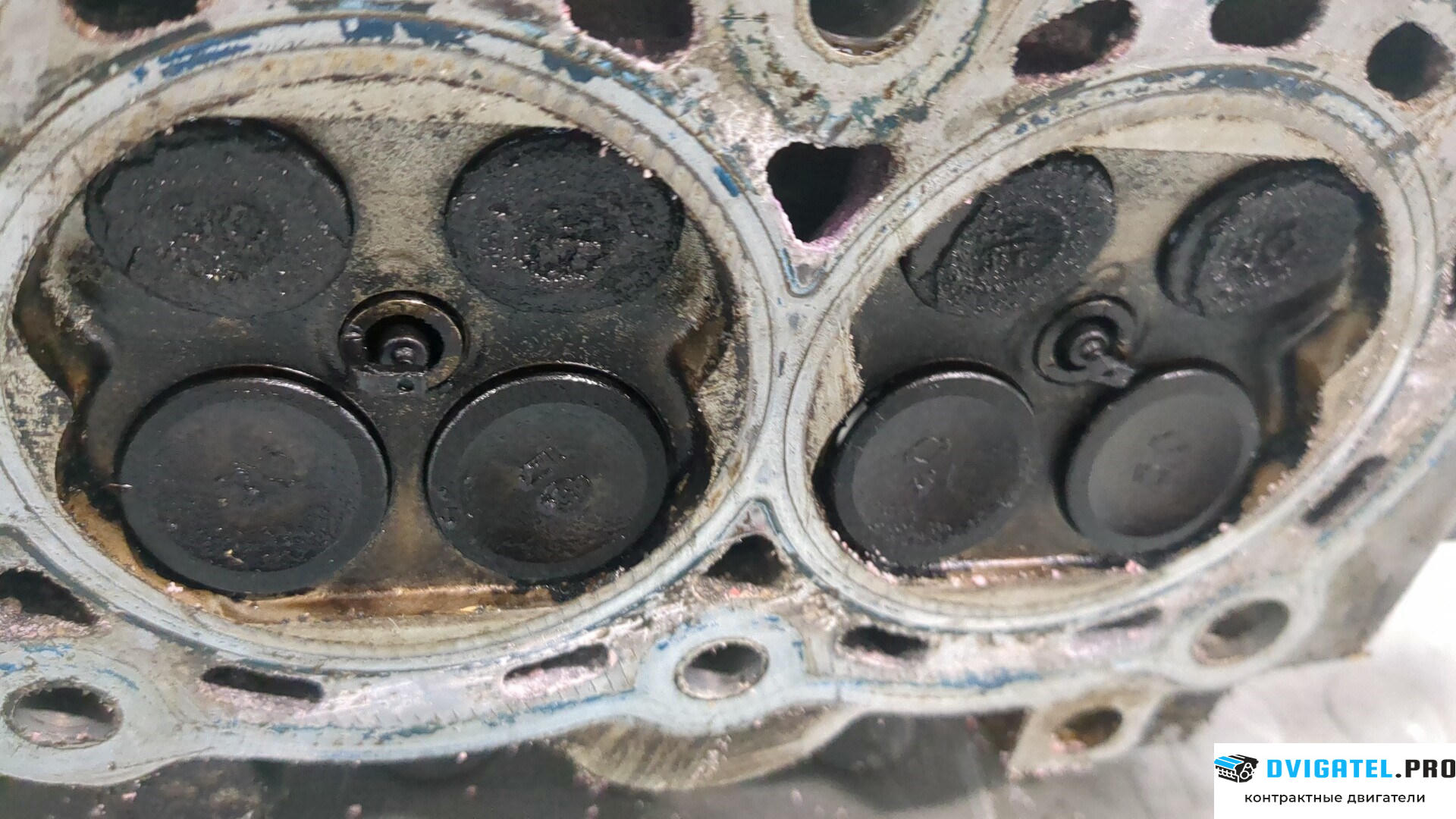 Головка блока цилиндров (ГБЦ) Nissan Micra K12E 2003 - 2010 CR12DE 1.2 л., Бензин, Инжектор, артикул 8879047