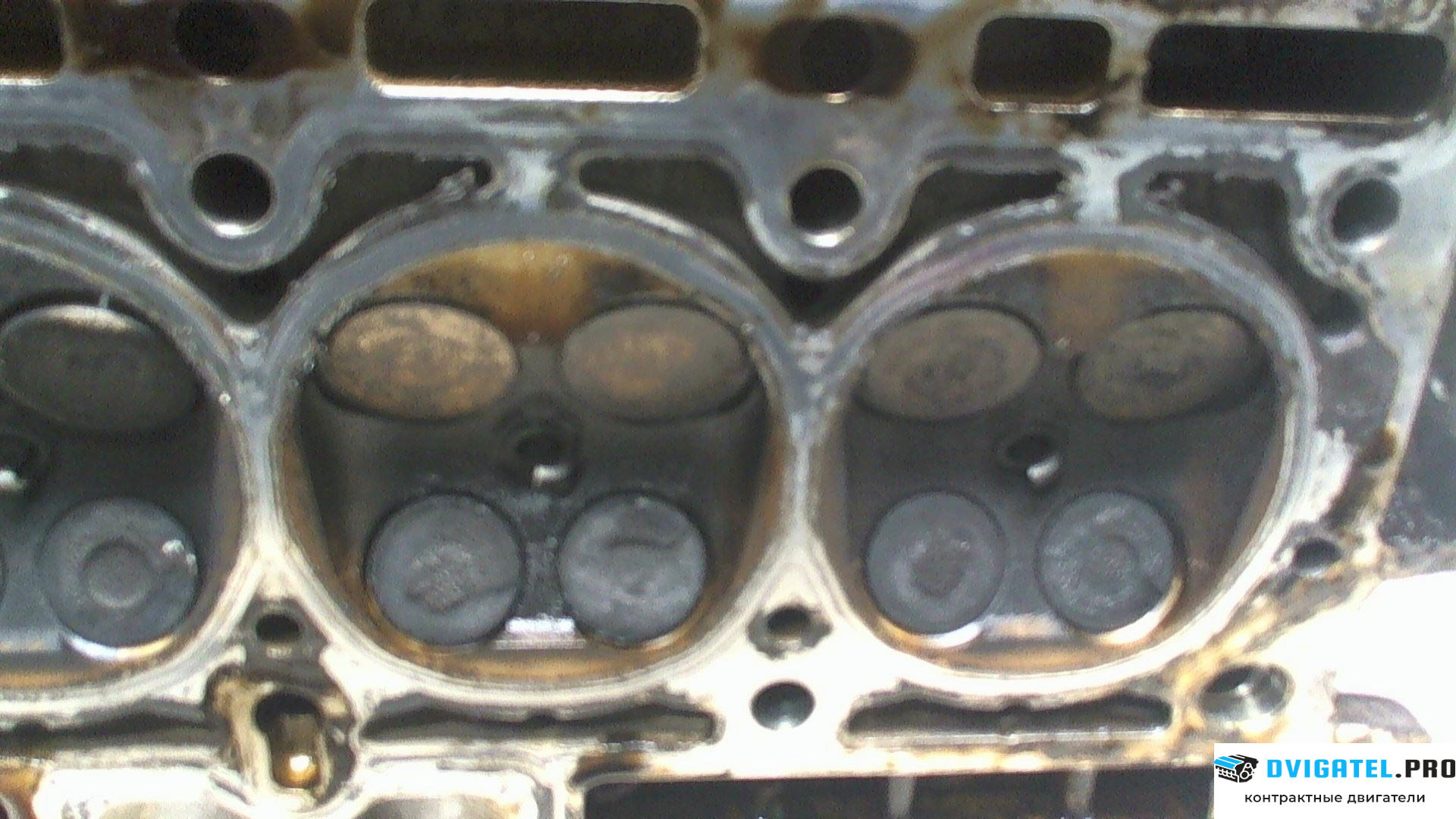 Головка блока цилиндров (ГБЦ) Renault Clio 2005 - 2009 D4F 784, D4F 786 1.2 л., Бензин, Турбо-инжектор, артикул 7043669