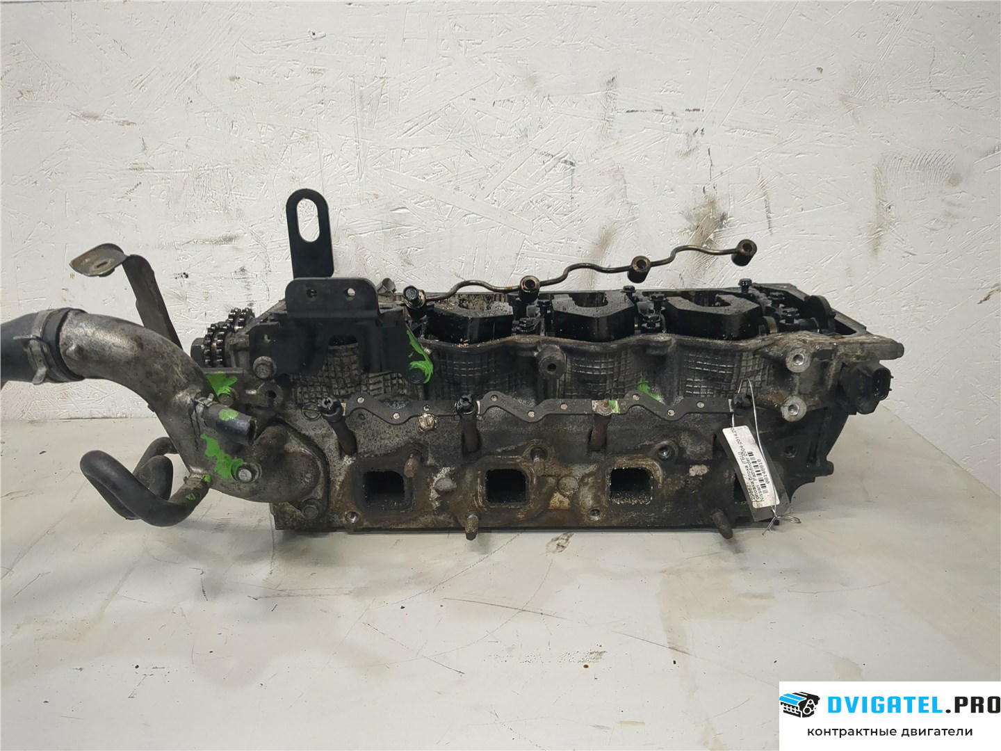 Головка блока цилиндров (ГБЦ) Nissan Pathfinder 2004 - 2014 YD25DDTI 2.5 л., Дизель, DCI, артикул 8148818