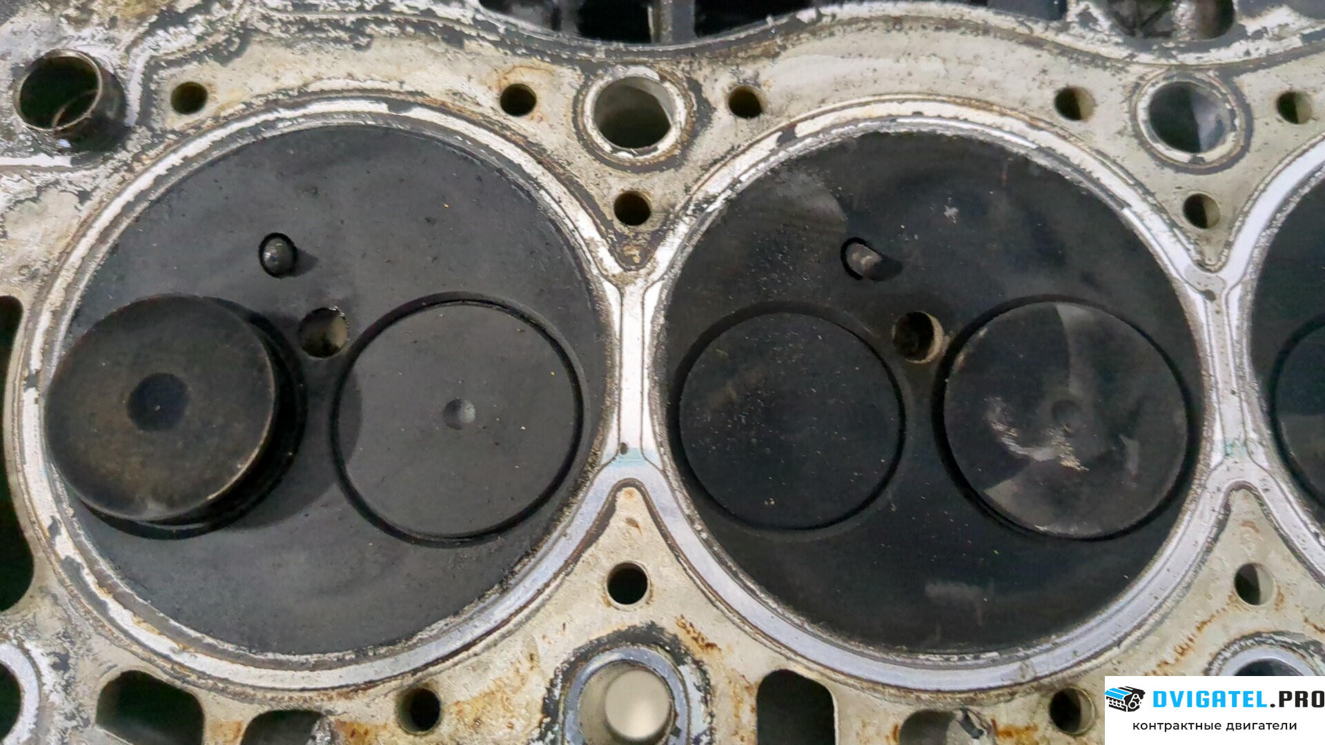 Головка блока цилиндров (ГБЦ) Renault Scenic 2003 - 2009 F9Q 804 1.9 л., Дизель, DCI, артикул 9239610