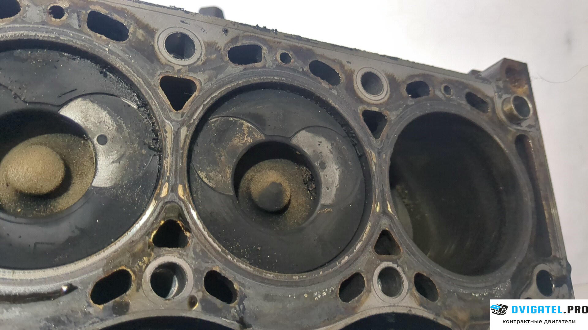 Шорт блок (Блок цилиндров) Renault Scenic 1996 - 2002 F9Q 732 1.9 л., Дизель, DCI, артикул 8958460