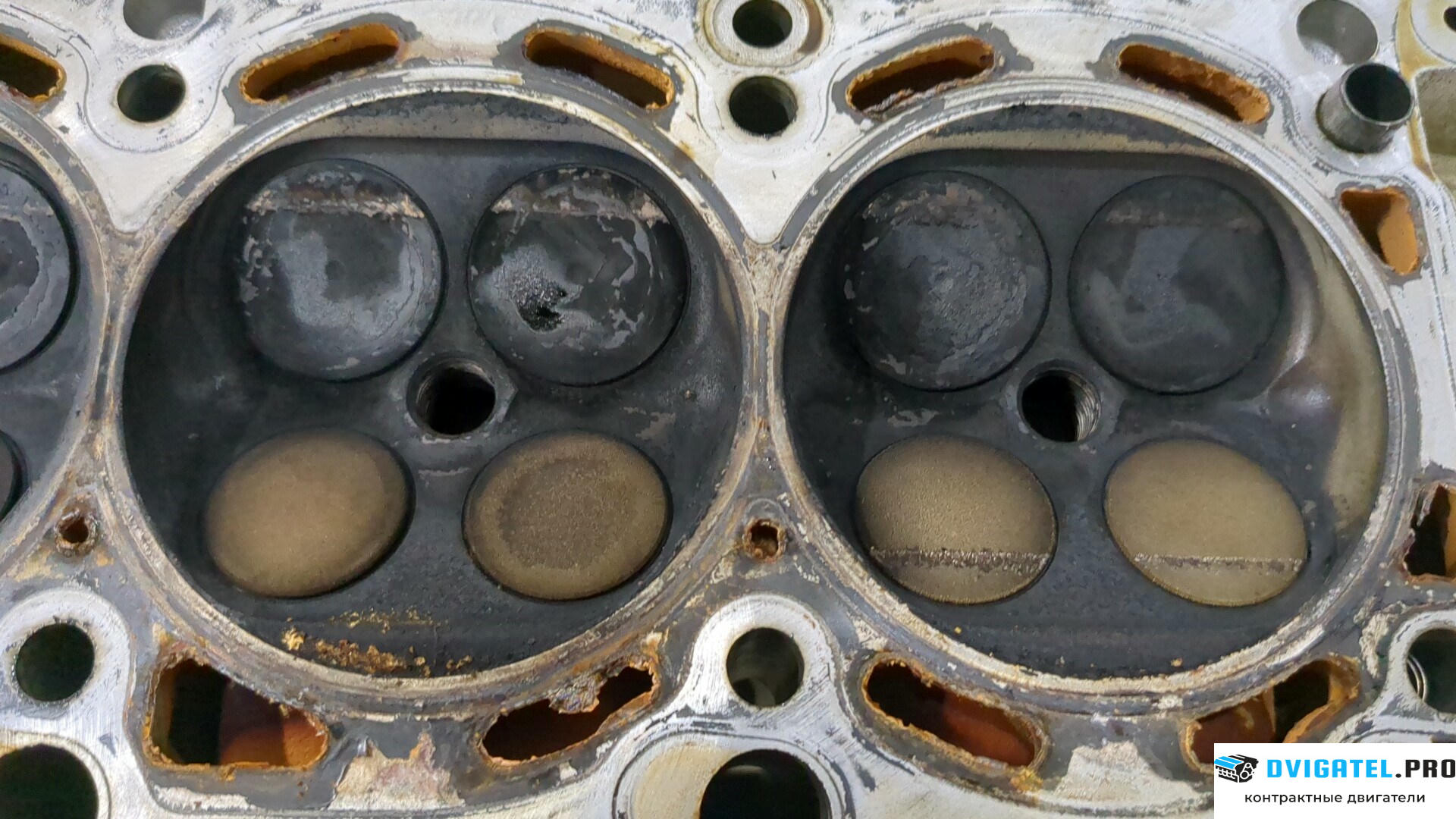 Головка блока цилиндров (ГБЦ) Land Rover Range Rover 3 LM 2002 - 2012 M62B44 V8 4.4 л., Бензин, Инжектор, артикул 9235534