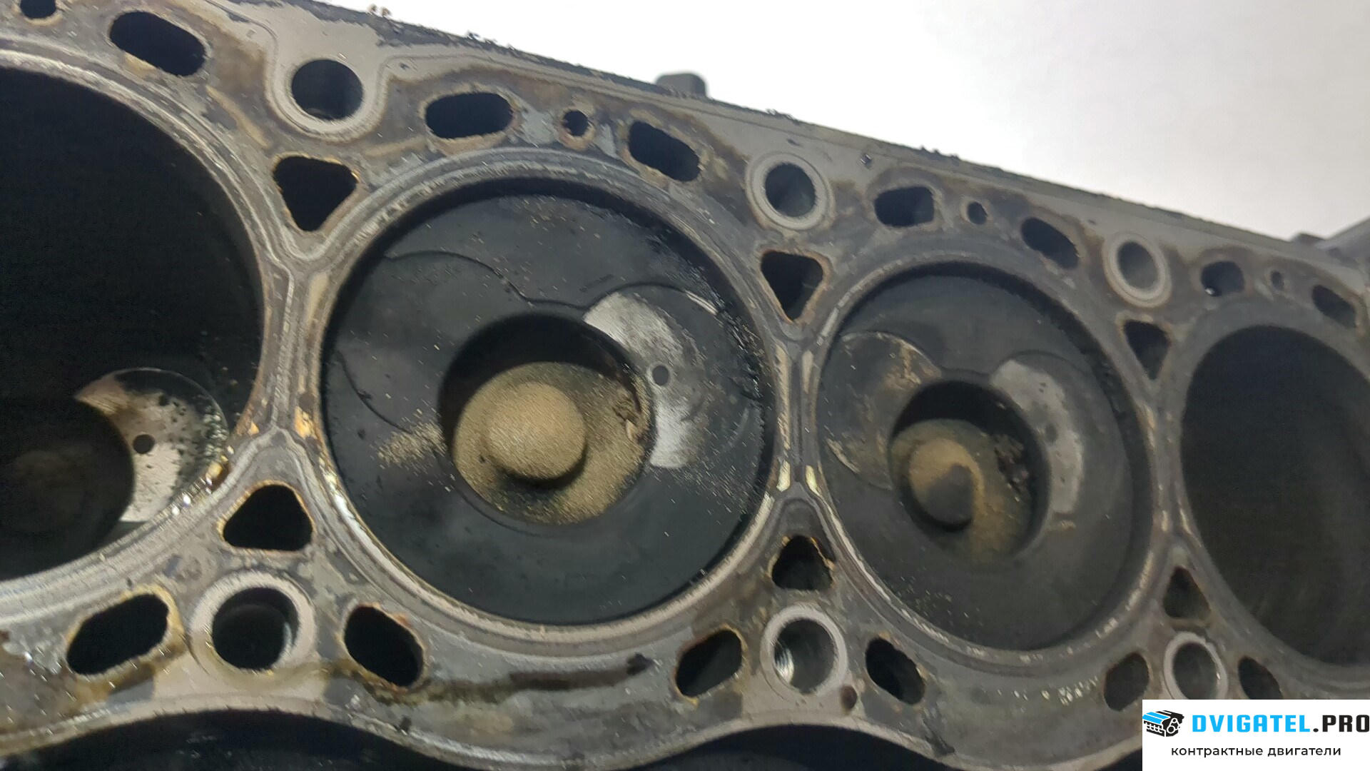 Шорт блок (Блок цилиндров) Renault Scenic 1996 - 2002 F9Q 732 1.9 л., Дизель, DCI, артикул 8958460