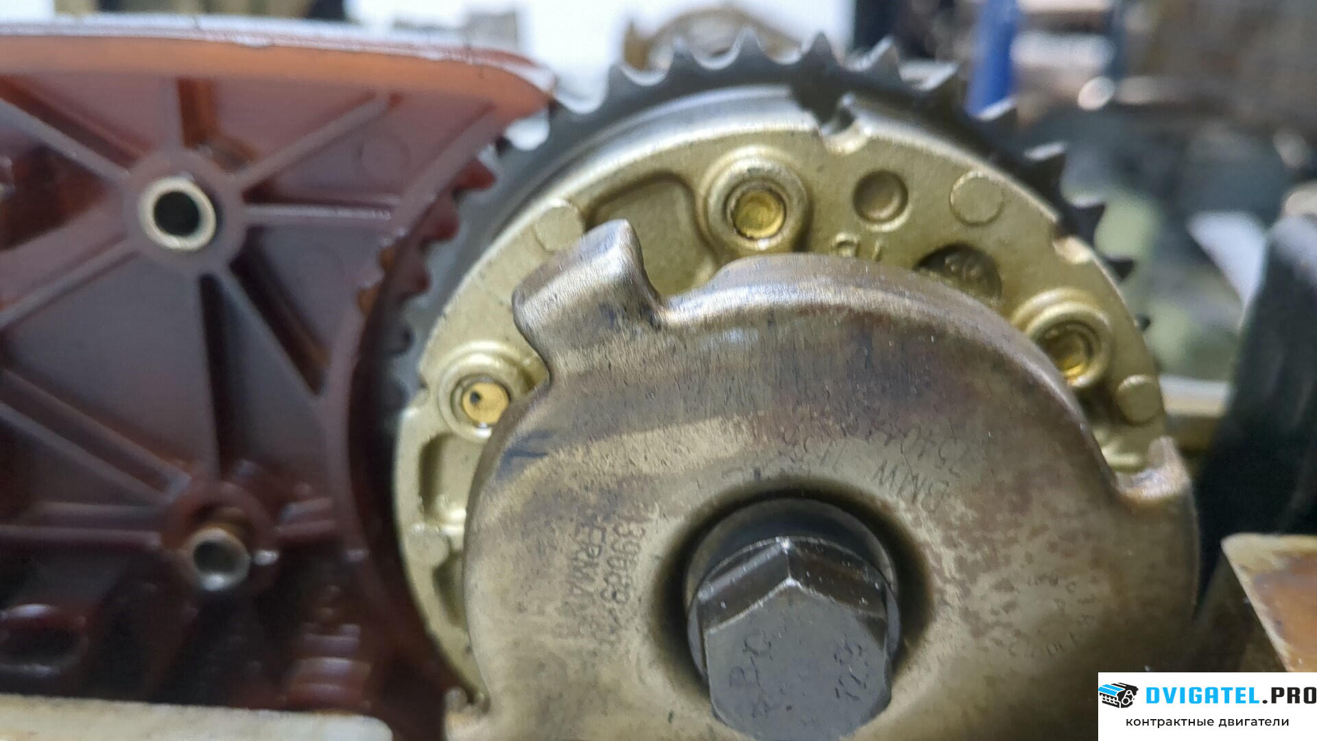 Головка блока цилиндров (ГБЦ) BMW 3 E90, E91, E92, E93 2005 - 2012 N43B20A 2 л., Бензин, Инжектор, артикул 8980269