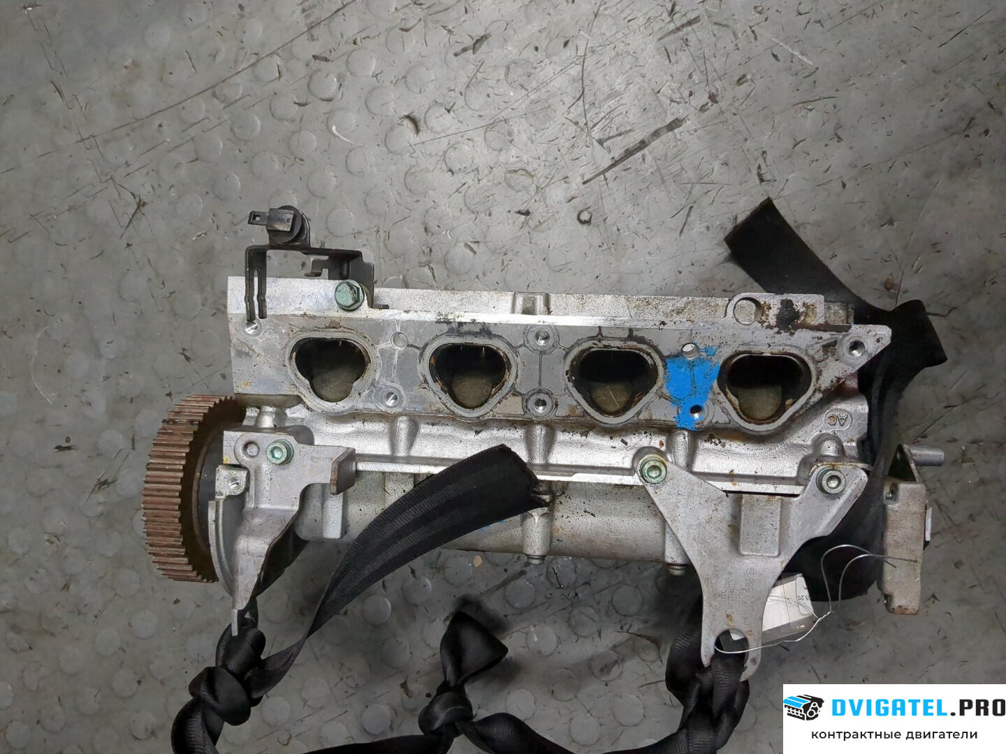 Головка блока цилиндров (ГБЦ) Volkswagen Golf 4 1997 - 2005 AXP 1.4 л., Бензин, Инжектор, артикул 9198521