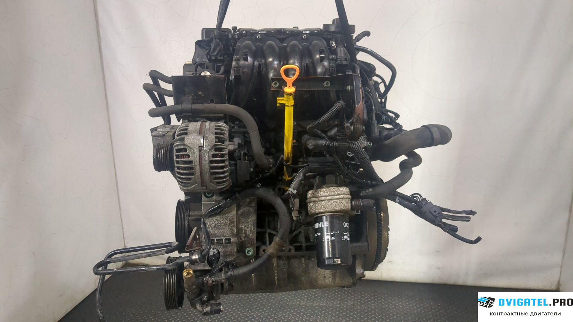Двигатель Audi A3 8L 1996 - 2003 APF 1.6 л., Бензин, Инжектор, артикул 9162434